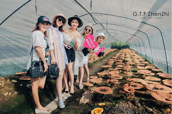 GTF集团婉妮选择甄芝茶 用新微商2.0模式海外创业