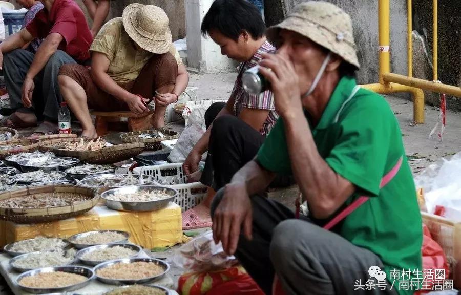 广东开海买海鲜,广东开海海鲜便宜还是贵