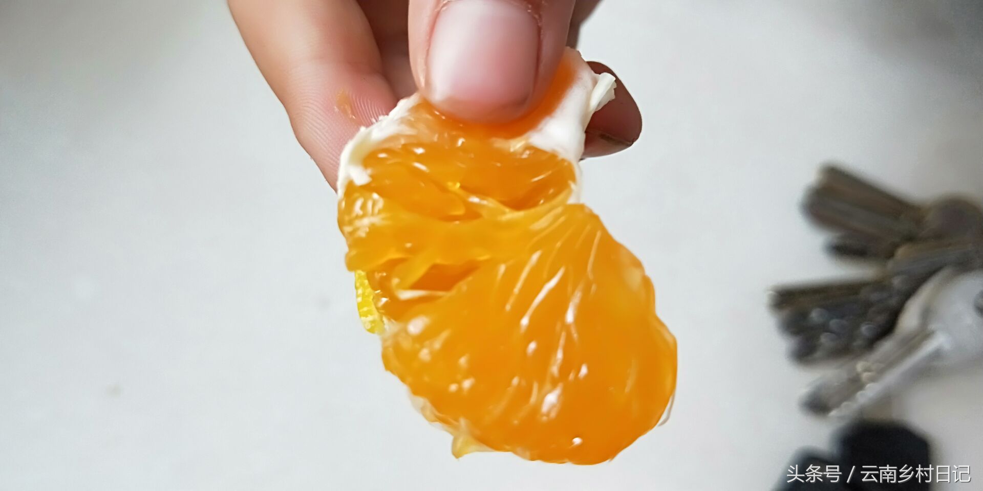 6个小时卖26万斤，“励志橙”背后的故事，王石潘石屹都为它宣传