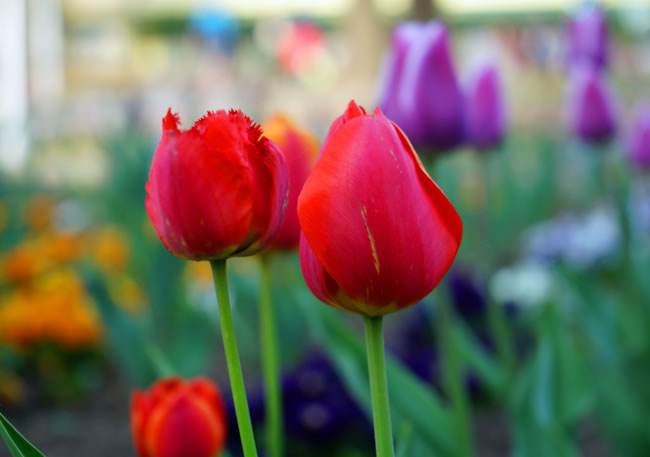 阿秋怎样走出重度焦虑抑郁的,阿秋双相情感障碍如何治疗