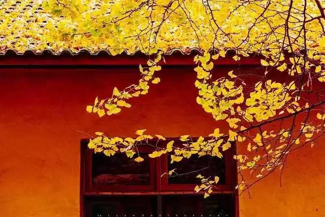 四川秋景第一名,四川欣赏秋景好去处