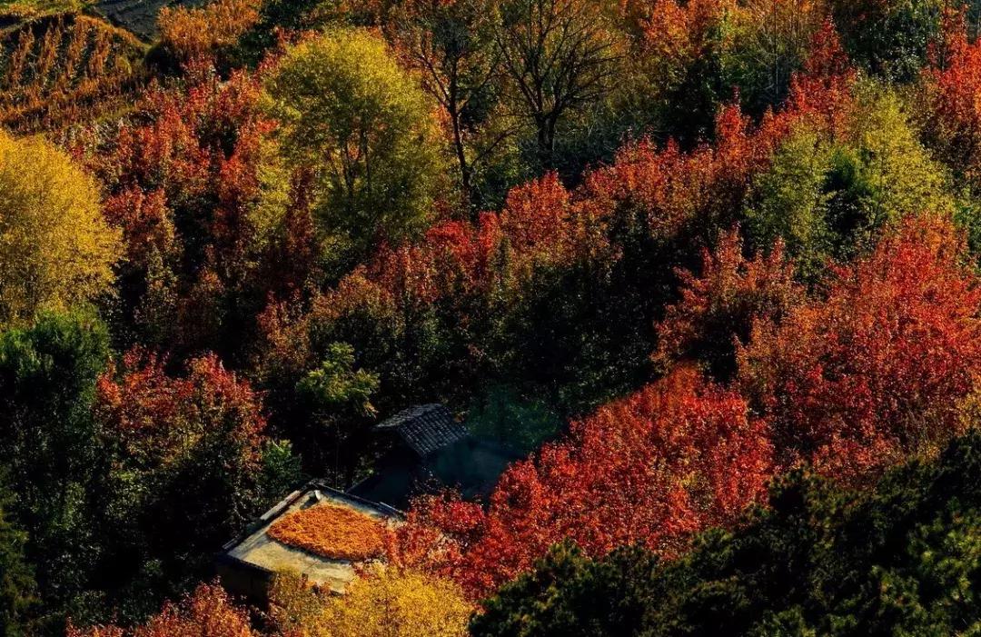 四川秋景第一名,四川欣赏秋景好去处