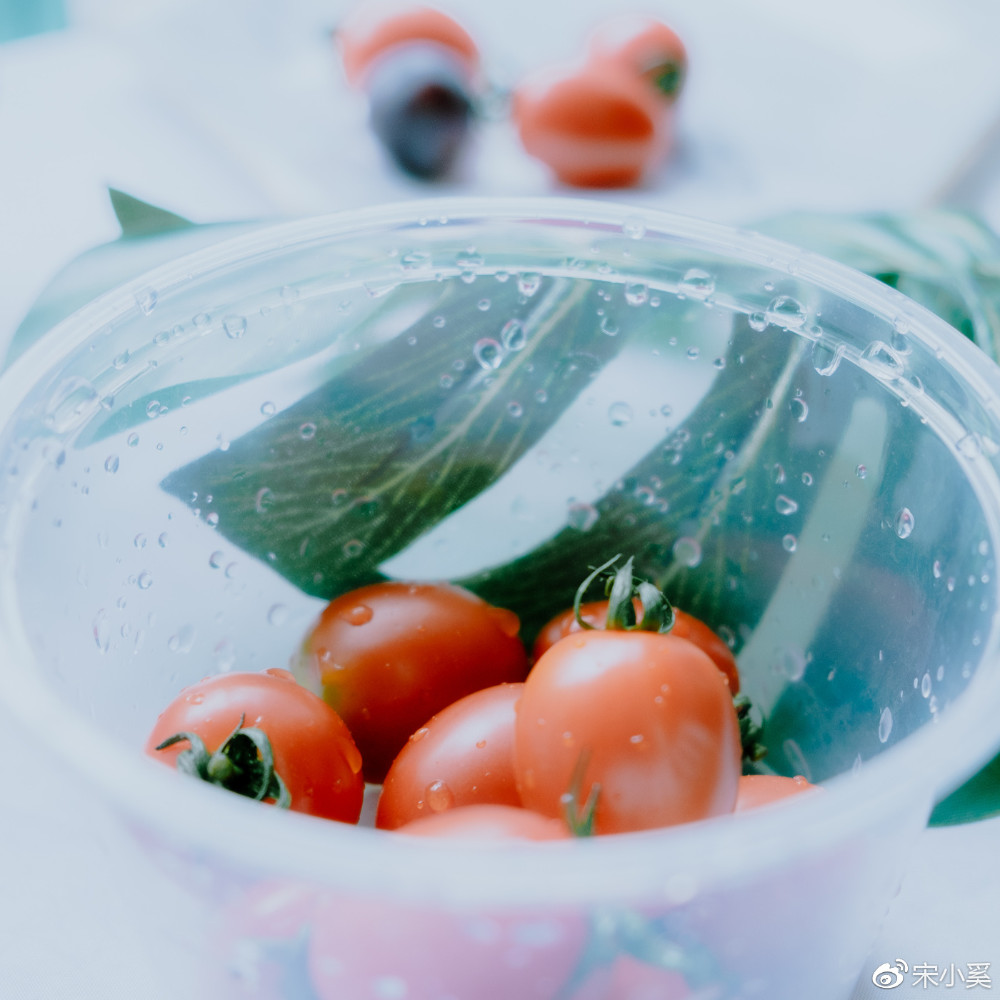 家庭版静物摄影,静物拍摄校园