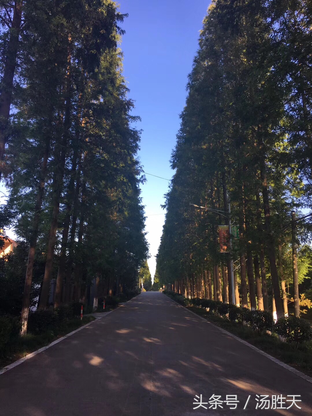 格物与齐物,格物正解通俗讲解