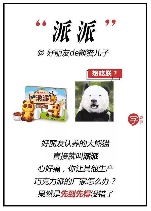 每一只可爱滚滚的背后,都有一群起名字不靠谱的人!