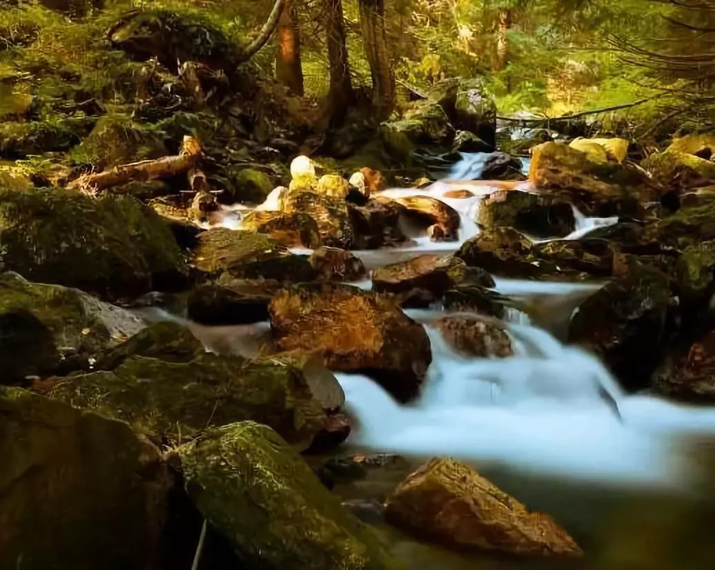 一块钱和五块钱矿泉水的区别,纯净水和矿泉水如何化学鉴别