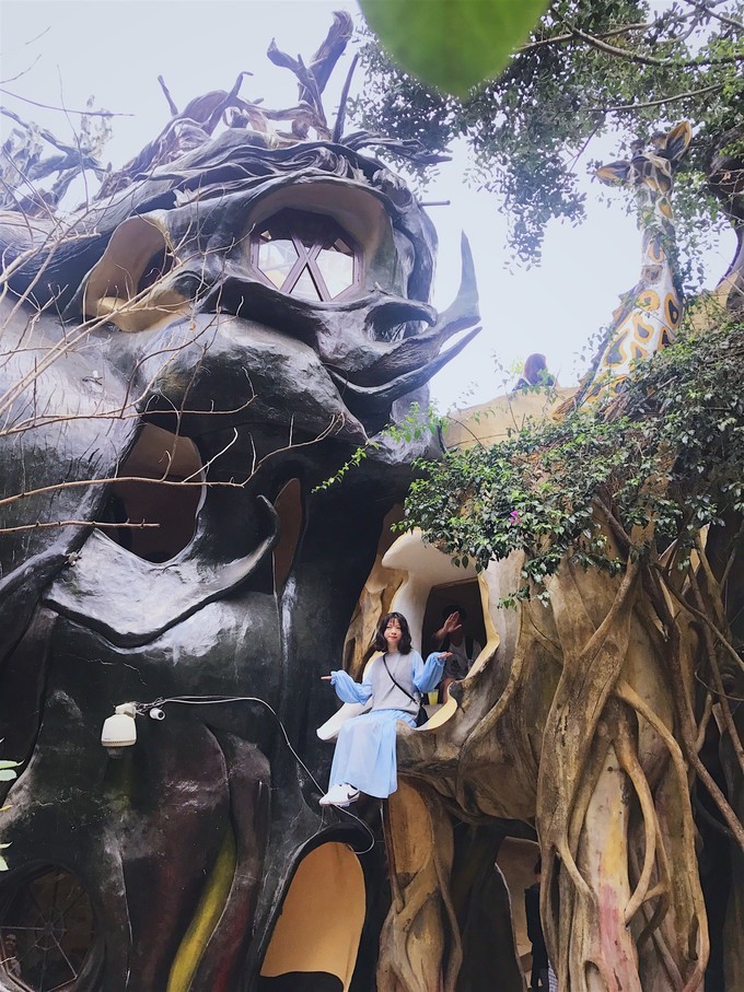 越南由南到北旅游方式,5000元越南8天7晚旅行全攻略