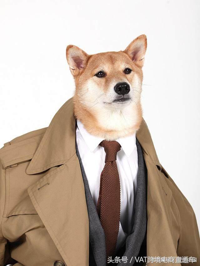 英国脱欧后还能用vat吗,英国脱欧后还需要vat吗