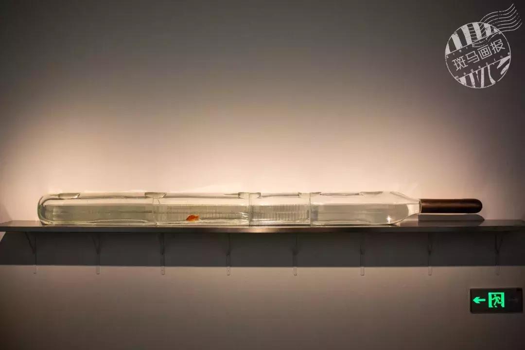 亚洲首展！开枪射画肉上绣花……这场叫“她”的展览，见识女性的力量