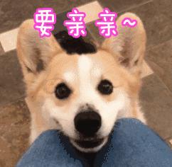 上市18年扣非亏16年，戴帽14载，实控人变8次，山水文化成ST长老