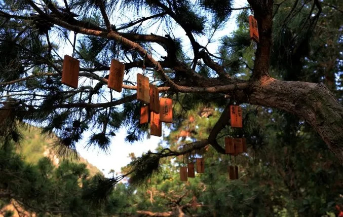 京郊世外桃源原唱,京郊世外桃源别墅