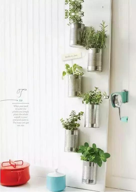 打造小菜园怎么种菜好看,自制阳台立体小菜园