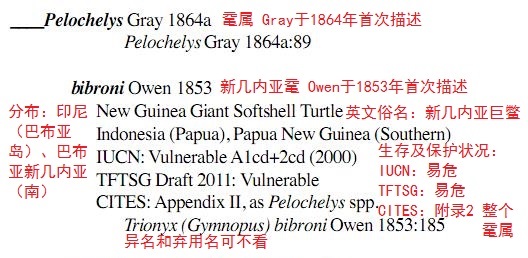 科普龟类知识视频展示,所有龟鳖类动物