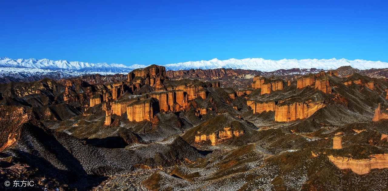 额济纳旗八天自驾游攻略,额济纳旗胡杨林6天三人游