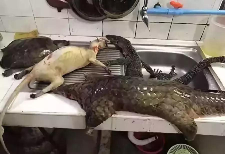 朋友圈代购真实案例,代购究竟有多暴利