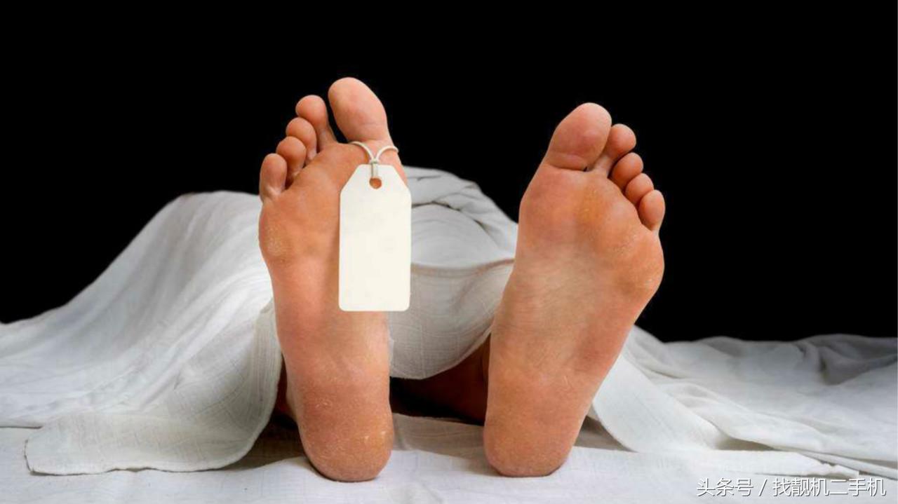 人死前血液在身体里循环，死后血液都流到哪去了？