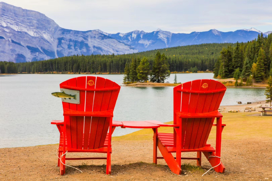 新西兰签证办理流程图片高清大图,新西兰网签费用多少钱