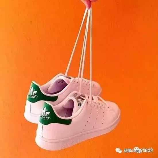 为什么绿尾少,绿尾是什么