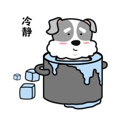 小狗拿着话筒跳舞表情包,小狗龇牙咧嘴的笑表情包