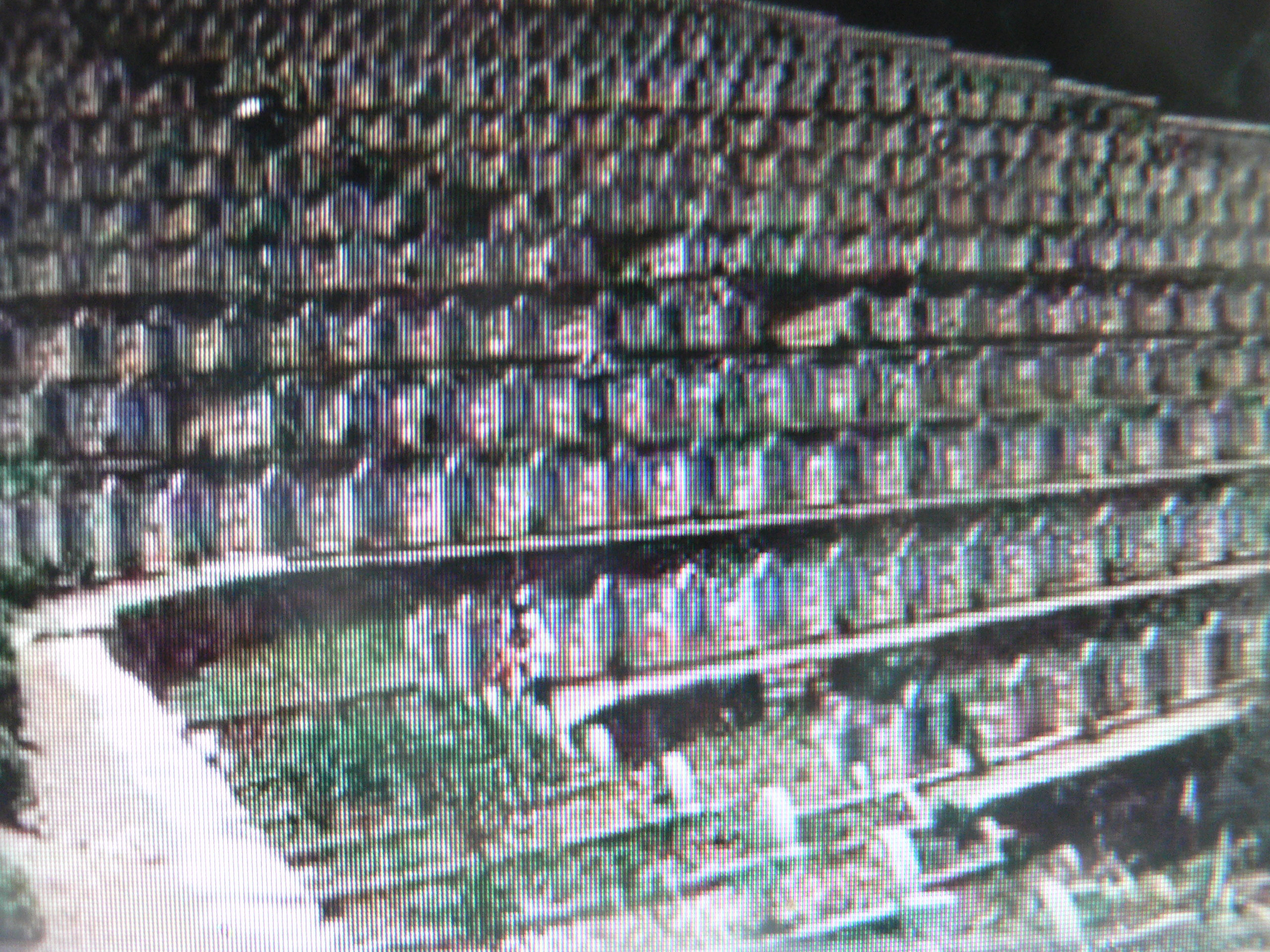 革命先烈林觉民遗书,林觉民给父亲的遗书