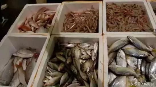 炫富卖海鲜的,威海开海去哪买海鲜