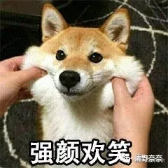 去霓虹国旅游攻略,日本旅游攻略霓虹