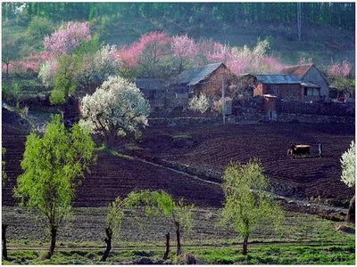 词风雅韵作品,词风雅韵浪淘沙