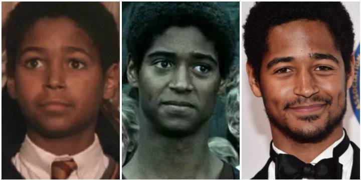 哈利波特的演员现在怎么样了,哈利波特的演员们都拿走了什么