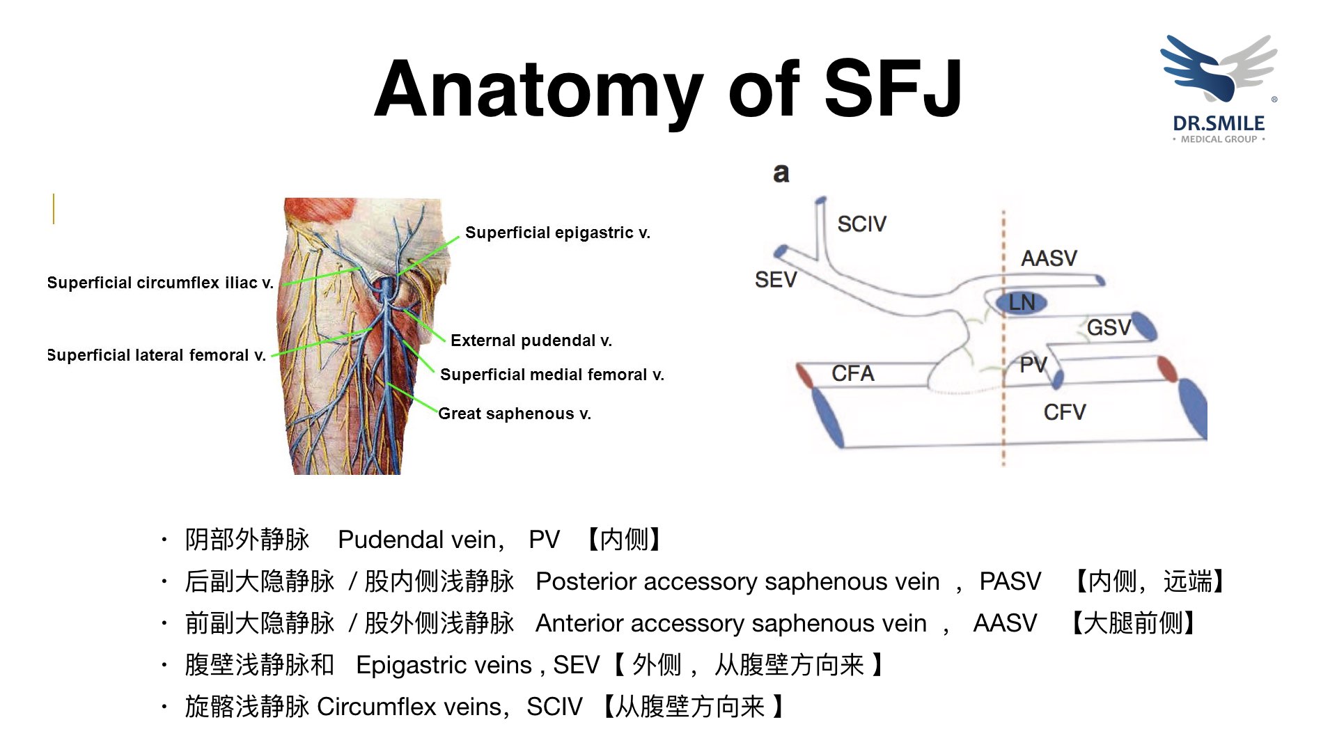 静脉曲张详细解说,静脉曲张知识大全书籍