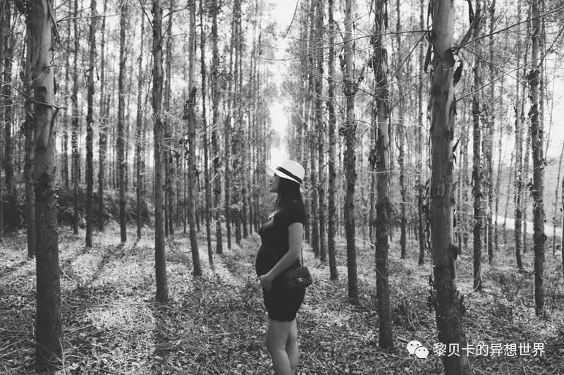 如果你的一生只能买一款包,如果这一辈子只买一个包