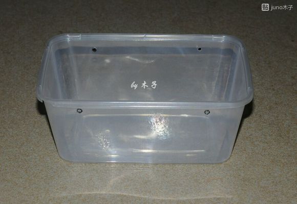 草龟繁殖经验分享孵蛋40天破壳,草龟孵化及幼龟养殖