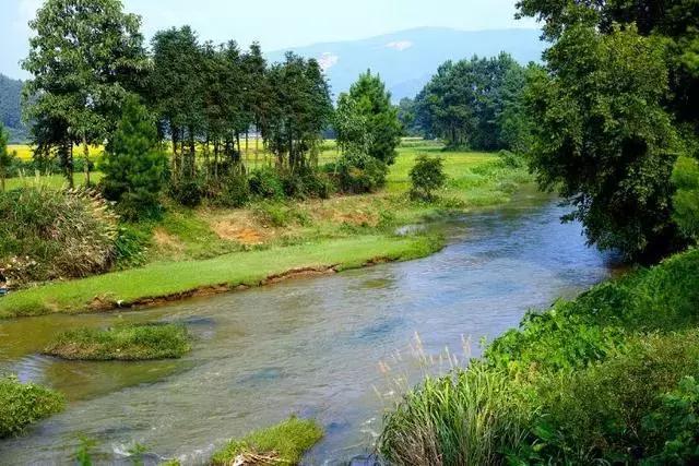 水至清则无鱼,水至清则无鱼人至察则无徒的意思