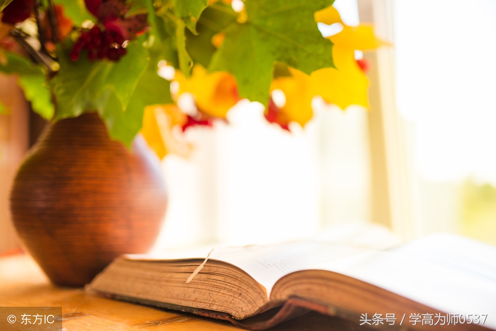 部编版二年级语文上册阅读题练习,小学二年级语文阅读训练100篇