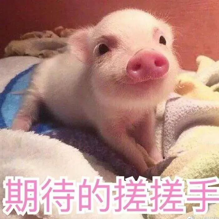 香港大牌折扣店推荐,香港折扣店超便宜