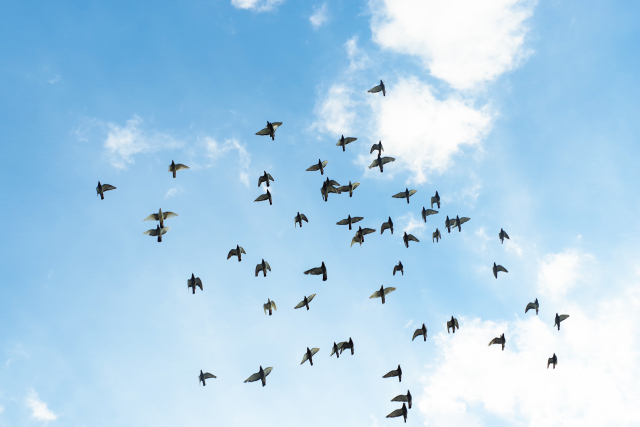 宾得星系列镜头,最值得入手的宾得镜头