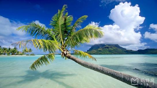 明珠购物广场三亚免税店购物攻略,去三亚旅游怎么吃海鲜便宜实惠