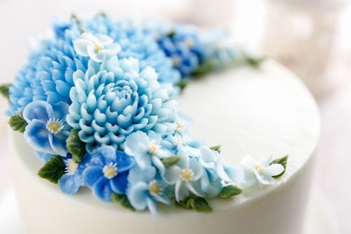 新手常用的裱花嘴,裱花嘴最全有多少种