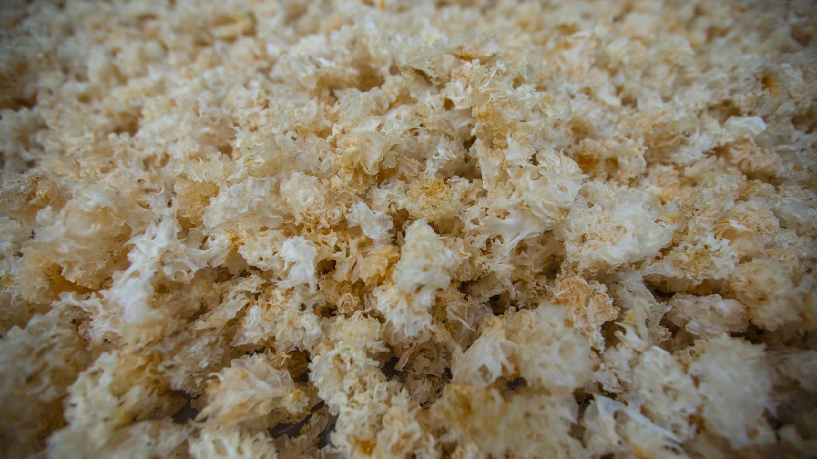 热点解读乡村振兴,通江乡村振兴