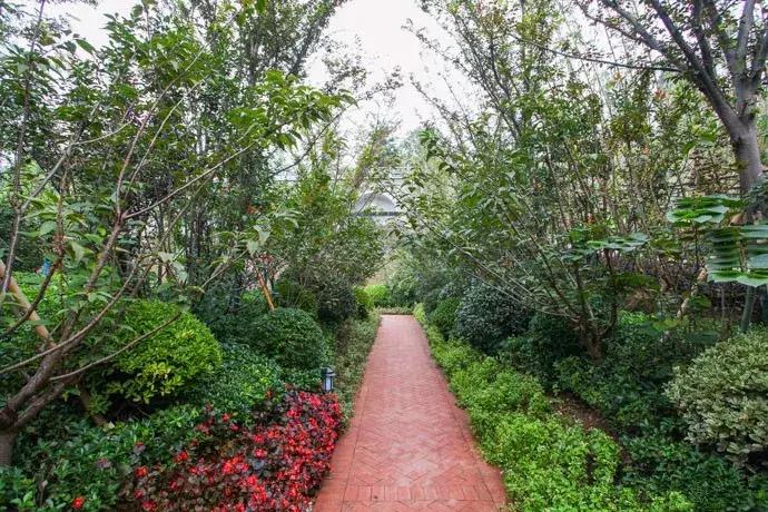 郑州曼哈顿哪个地方适合约会,秋天约会去郑州哪里比较好