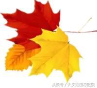 异物呛入气管的急救方法有哪三种,成人大蒜呛到鼻腔小妙招