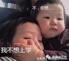 力学小学江宁分校,南京市力学小学江宁