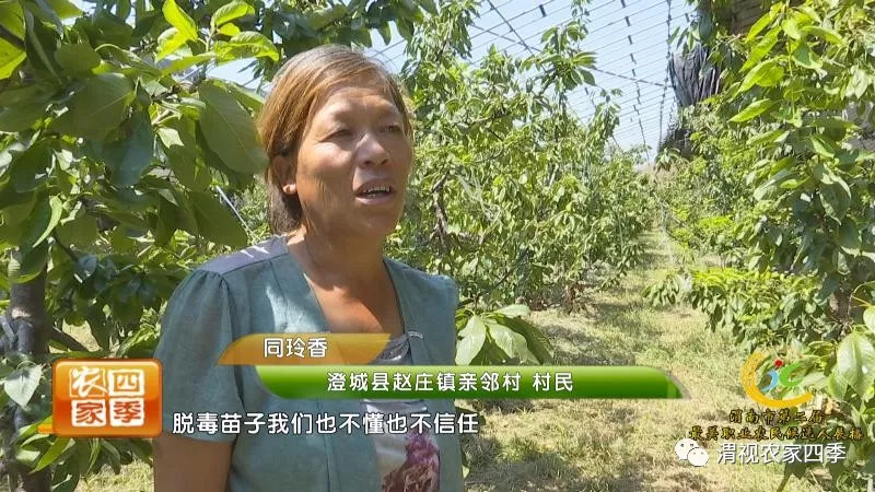 渭南市第二届最美职业农民候选人,渭南最美职业农民候选人