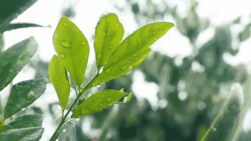 男人一闻就有反应的香水,男人一闻就想上的香水平价