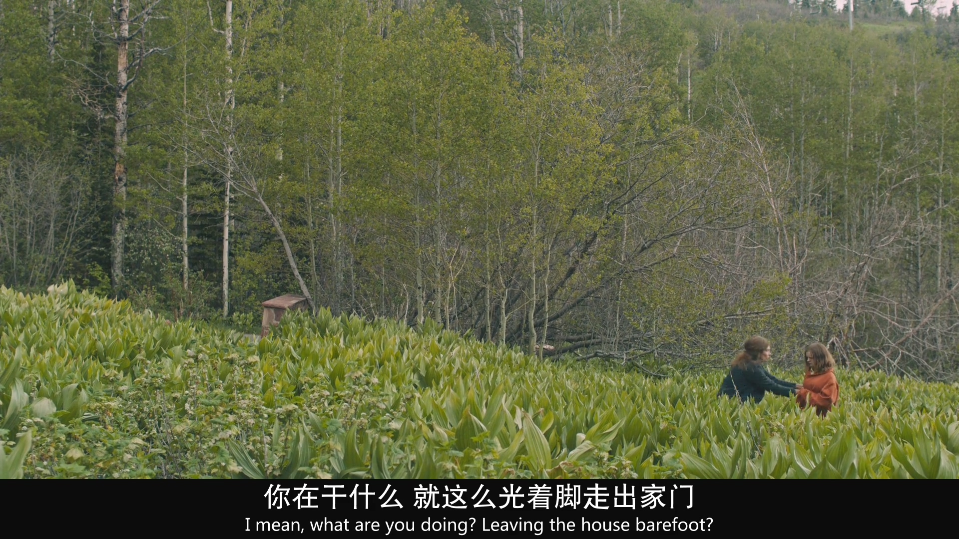 外婆死后，家里出了怪事：欧美电影无尿点系列