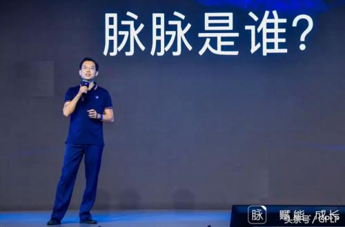 中国职场社交的“中国梦”，脉脉到底是谁？