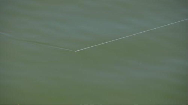 鱼线的猫腻,鱼线与陷阱