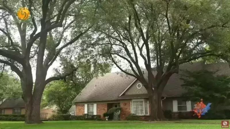 国外留学富二代的奢侈日常,为什么富二代都在国外留学