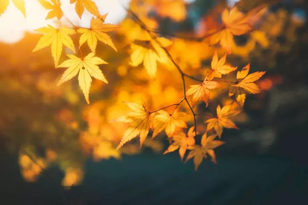 从家庭主妇逆袭成店长,从家庭主妇的华丽蜕变