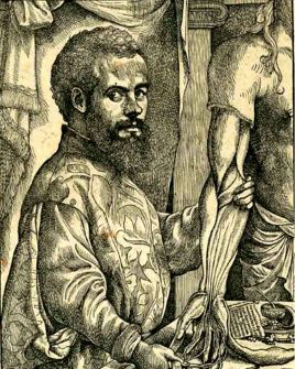 古代人骨折了没有手术怎么办,古代没有手术怎么治疗骨折