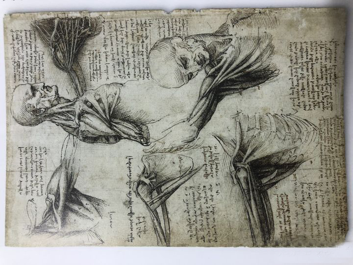 古代人骨折了没有手术怎么办,古代没有手术怎么治疗骨折